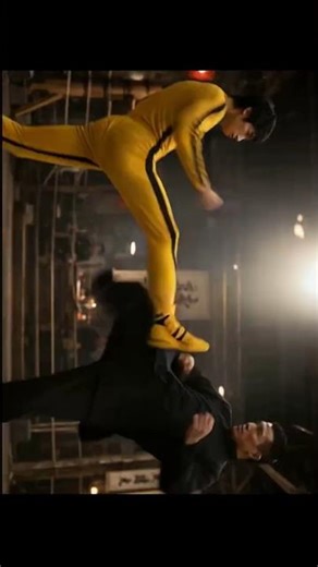 Ip Man vs Bruce Lee — Who Is Stronger? 👊💥