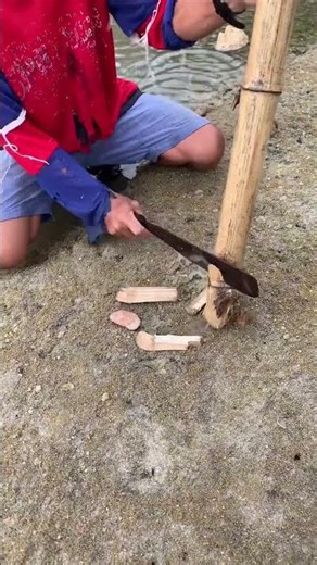 Catching Hidden Crabs Using A Bamboo Pipe! 🦀🎋