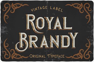 Royal Brandy typeface, a Script Font by VozzyStock