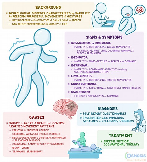 Apraxia: What Is It, Causes, Signs and Symptoms, and More | Osmosis