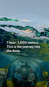 This is what it looks like when one of our submersibles heads into the deep. It starts with ballast tanks filling in a set sequence—keeping everything stable as the pressure builds around us. Down here, radios stop working, so our pilot switches to acoustic check-ins every 50 meters. It takes about an hour to reach 1,000 meters. But this is more than just a slow ride to the bottom. It’s a step into the unknown—a place most people will never see. A place full of questions, clues, and life we’re o