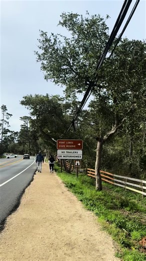 Exploring Point Lobos on a Sunny Day