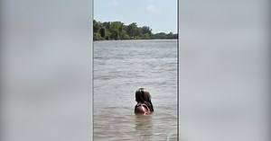 Caught on Camera: Viral TikTok catches swimmer's close encounter with alligator