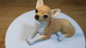 Watch Brown Chihuahua Figure on Amazon Live