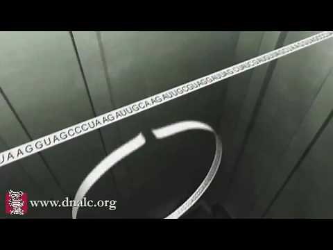 mRNA Splicing