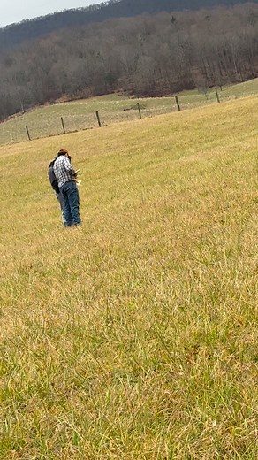 Per WVU: Plants need adequate mineral nutrients to grow at their optimum rate. They obtain these nutrients by root uptake from the soil. This may be direct root uptake or through a symbiotic relation with mycorrhizal fungi that help extract nutrients from the soil. So we take samples to know what nutrients it needs or doesn’t need. Do you take soil samples ? . #soil #soilhealth #wvfarmland https://extension.wvu.edu/natural-resources/soil-water/soil-testing | Sonya Fullen, Realtor