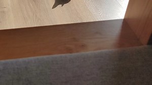 最新视频已上线，快来围观！