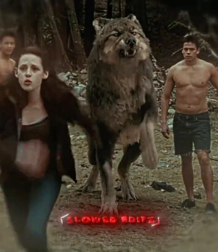 He Fight for Her ❤️🐺 | The Twilight Saga Edit | Headlights – Alok & Alan Walker | Slowed Editz