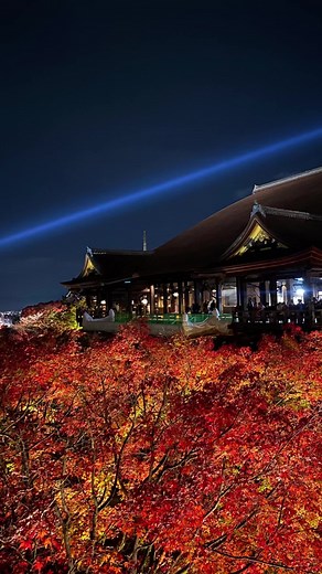 日本の秋の絶景を探る旅