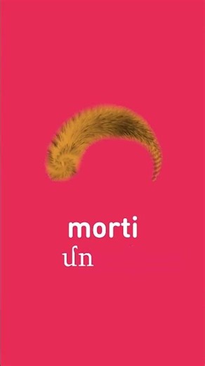 🇦🇲 How to say Fur in Eastern and Western Armenian | Pronounce "մորթի" Like a Native!