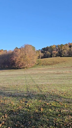 4.9K views · 77 reactions | #dominantbuckoutfitters #2025Season #whitetailhunt #deerhunting #monsterbuck #booktoday | Dominant Buck Outfitters LLC | Facebook