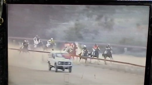 2nd Race Sunday 2nd of November 25 | Karachi Race Club
