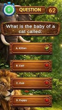 Can You Guess This? 🐐 #brainyquestions #shorts