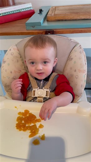 These cookies taste weird 😂 #reels #cute #funny #cookies | All The Babies