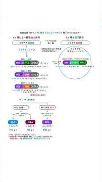 （再発）卵巣がん 最新治療ライン