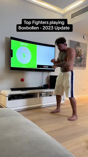 Top Fighters in Box Bollen: Conor McGregor and More