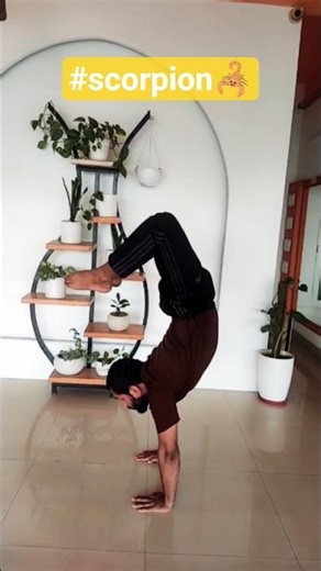 Mind steady |Core strong| Scorpion mode🦂🔥#ytshorts #trending #viral #youtube #share #like #subscribe