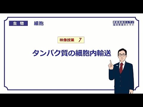 【高校生物】 細胞7 タンパク質の細胞内輸送（１３分）
