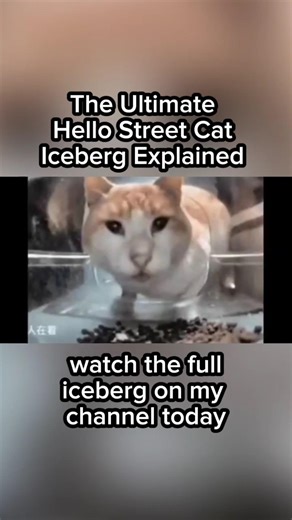 Mr. Shock - The Ultimate Hello Street Cat Iceberg Explained