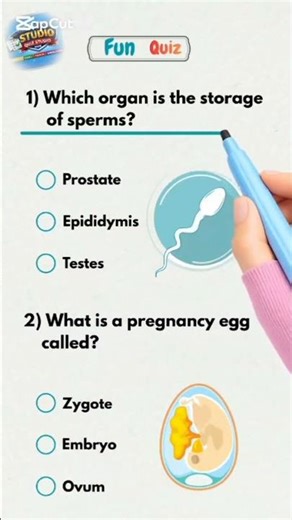 Where Is Sperm Stored? 😱 | Quick MCQ