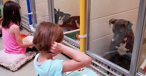 Children Read Books To Traumatized Shelter Dogs To Help Rehabilitate Them