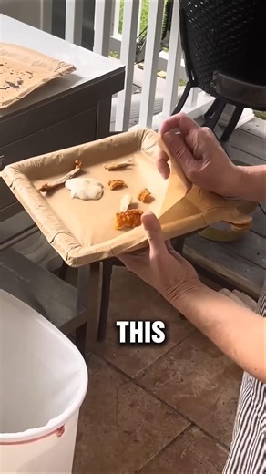 Peel Plate The Dish-Washing Problem Solved