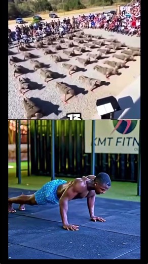 Military pushups #foryou #fitness #motivation #shorts #trending