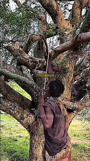 Why the hadzabe tribe eat monkeys #hadzabetribe