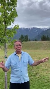 David Heath, who was a LAMB'S Ensemble Member for 30 years, with some "Perspective" for Sunday. #FromOurHomesToYours #LambsCabaret www.lambsplayers.org | Lamb's Players Theatre