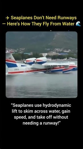 ✈️ Seaplanes Don’t Need Runways — Here’s How They Fly From Water 🌊