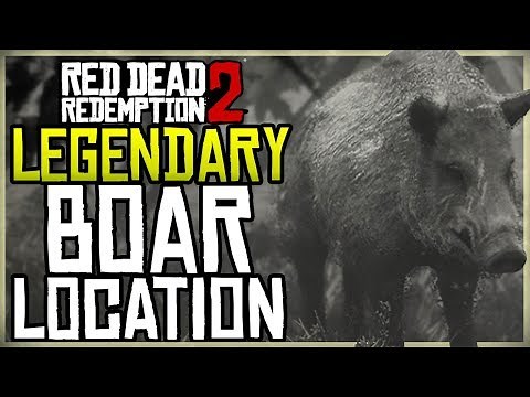WHERE TO FIND THE LEGENDARY BOAR LOCATION + HUNT - RED DEAD REDEMPTION 2