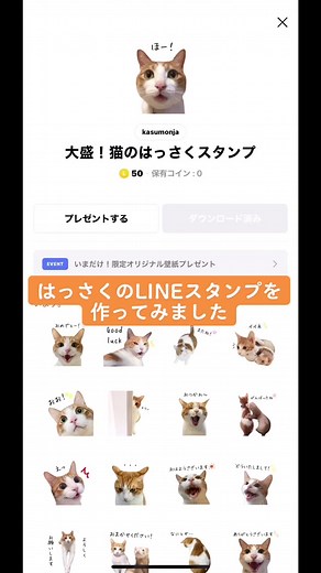 可愛い猫のLINEスタンプが登場！