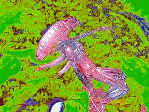 TnTPredarno addon - Aliens vs. Predator (2010)