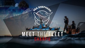 650 reactions · 162 shares | The fight to save a species requires...