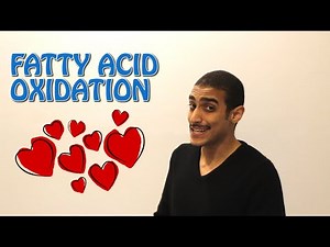 Fatty Acid Oxidation شرح بالعربى