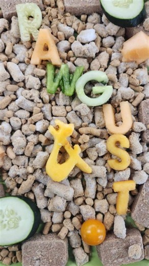 We LOVE raw pet diets. They have SO MANY positive health benefits for our pets! 1) Shiny Coat, Happy Pet: Say goodbye to dull fur and hello to a glossy, radiant coat! Raw pet food contains all the right fatty acids and oils to give your pet a coat that's Instagram-worthy. 2) Bye-Bye Allergies: Is your pet struggling with food allergies? Raw pet food can be a game-changer! Its limited ingredients and absence of artificial additives can help alleviate those pesky allergies. 3) Cleaner Teeth, Fresh