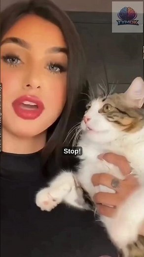 How to Trim Your Cat’s Nails Safely (No Stress)