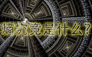 熵究竟是什么？