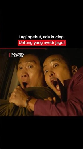 Kucing Oren Selamat Berkat Skill Nyetir Gong Myung | Husbands in Action