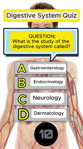 🍽️ Digestive System Quiz | Can You Guess It? 🤔