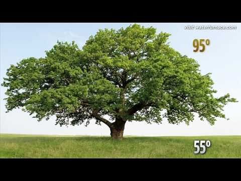 Geothermal Heating and Cooling from WaterFurnace