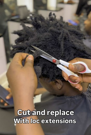 Start Your Loc Journey with Expert Extensions