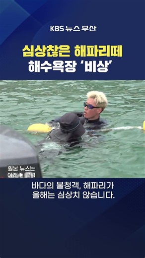 07/03/2026 #Jellyfish #Beach Sea SummerVacation WaterTemperature Ocean Haeundae Gwangalli Ministr...