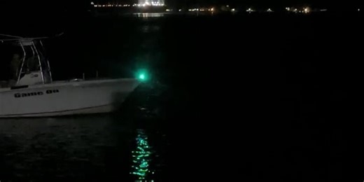 Alleged footage of Southport shooting suspect Nigel Edge