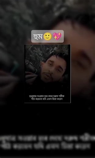 MSI Editor (@msieditor)’s videos with original sound - MSI Editor