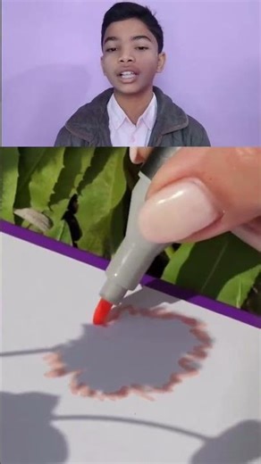 Cute flowers shodo drawing tutorial A step-by-step guide 🪻🌷💐💕 #artist #shadodrawing #flowersdrawing