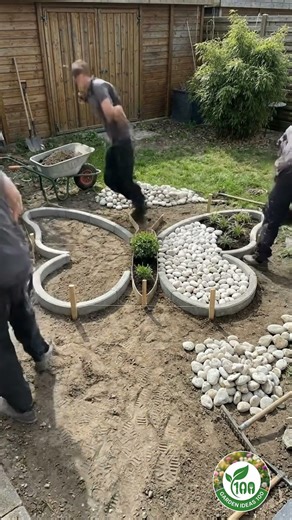 A blooming butterfly paradise 🦋✨ #butterflygardening #shorts