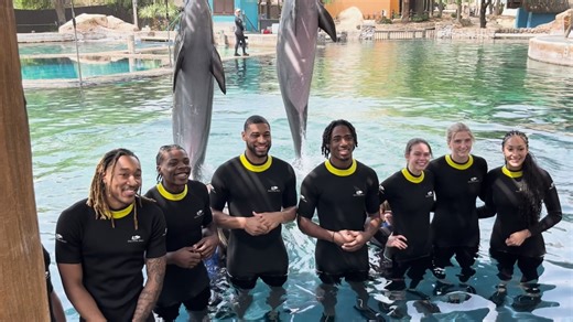 College basketball stars dive into dolphin adventure at SeaWorld San Antonio