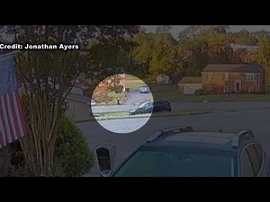 Woman hospitalized after Glenvar dog attack