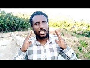 How can we analyze and interpret data effectively (Amharic tutorial)